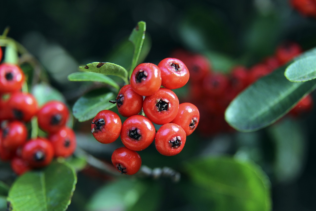 保罗·乔治：腿部力量还没恢复到应有水平，希望可以保持健康