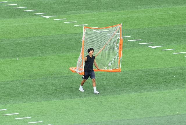 引发大量关