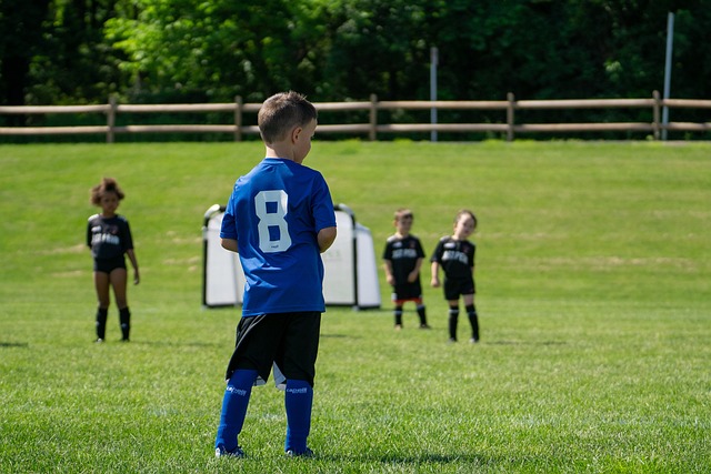 依旧以高分 依旧以高分