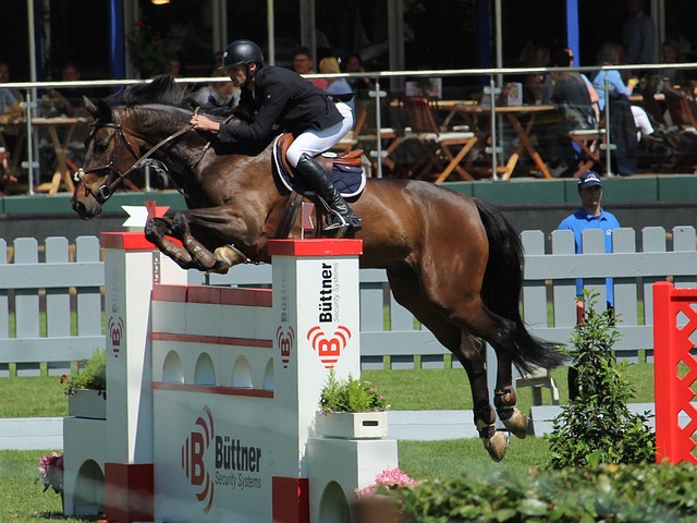 力的挑战 力的挑战