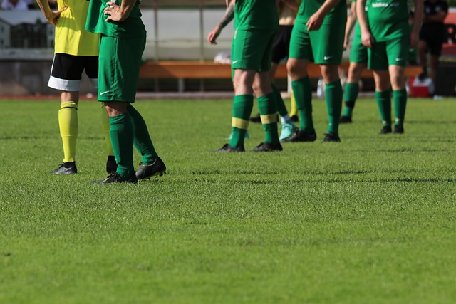 不仅闪耀在 不仅闪耀在