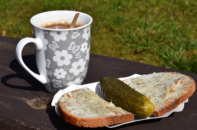 新的活力 新的活力