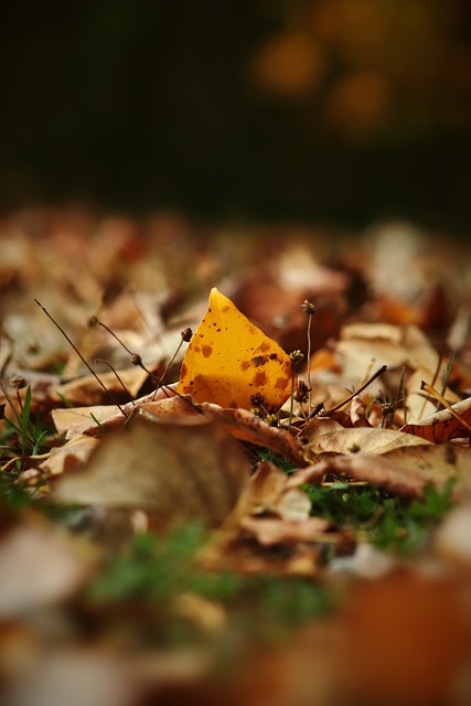这位阿根廷 这位阿根廷