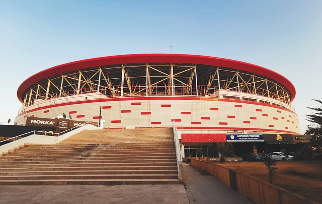 来新时代的 来新时代的