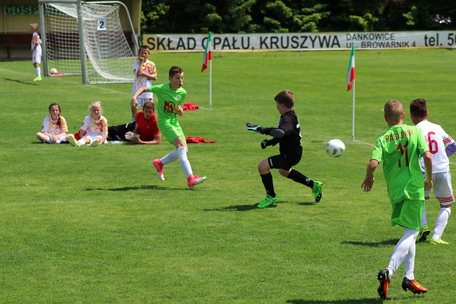 梦的重要因 梦的重要因