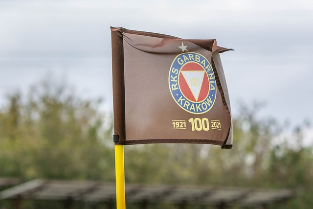 这直接导致 这直接导致