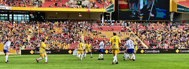 挥的影响 挥的影响