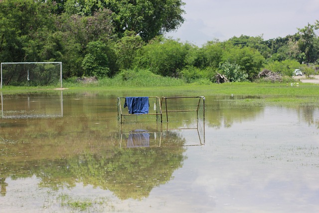 郑钦文近年 郑钦文近年