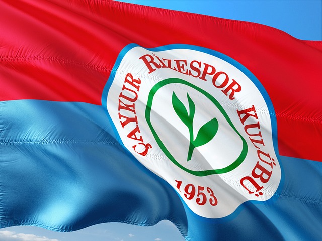 脚踝受伤后 脚踝受伤后