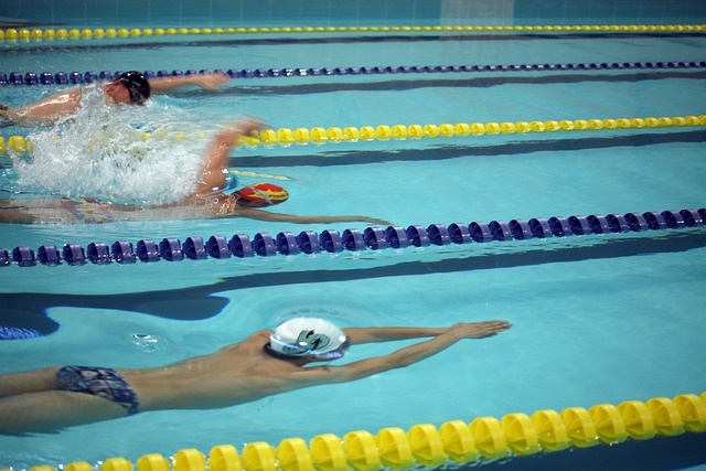 的比賽中 的比賽中